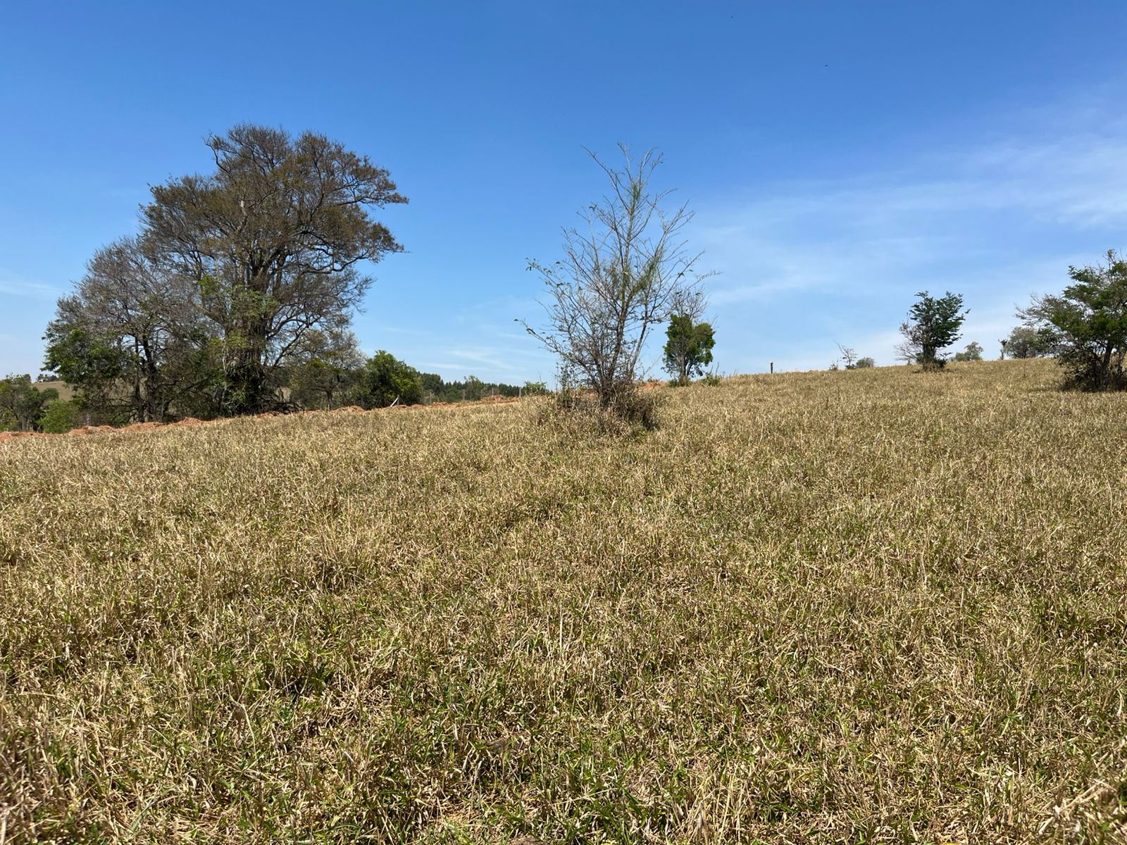 Vista dos lotes rurais em Itupeva/SP, próximos à Rod. Dom Gabriel, com fácil acesso a Jundiaí e Cabreúva. Ideal para investimento ou moradia.