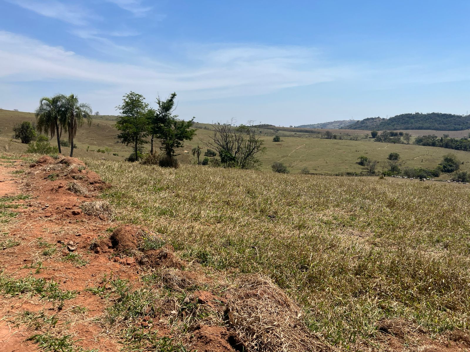 Vista dos lotes rurais em Itupeva/SP, próximos à Rod. Dom Gabriel, com fácil acesso a Jundiaí e Cabreúva. Ideal para investimento ou moradia.
