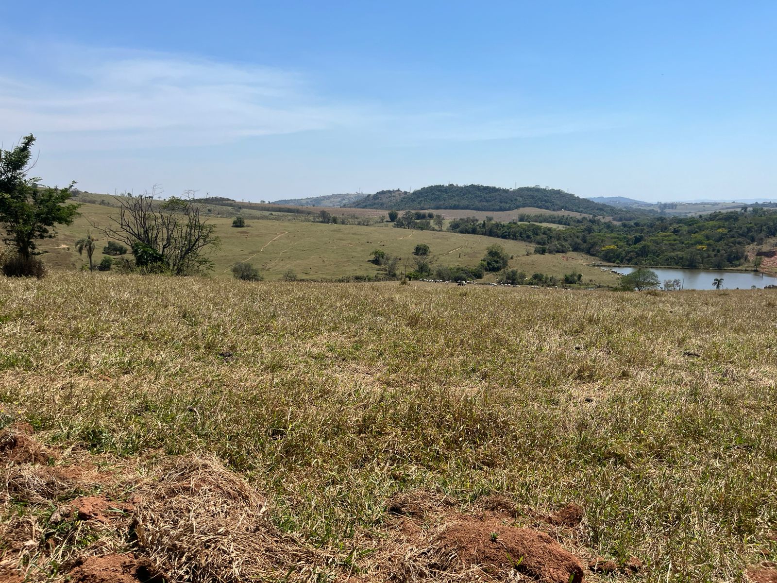 Vista dos lotes rurais em Itupeva/SP, próximos à Rod. Dom Gabriel, com fácil acesso a Jundiaí e Cabreúva. Ideal para investimento ou moradia.