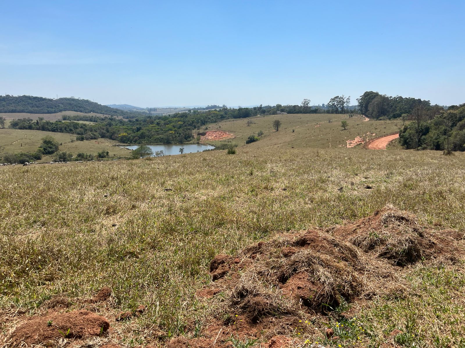Vista dos lotes rurais em Itupeva/SP, próximos à Rod. Dom Gabriel, com fácil acesso a Jundiaí e Cabreúva. Ideal para investimento ou moradia.
