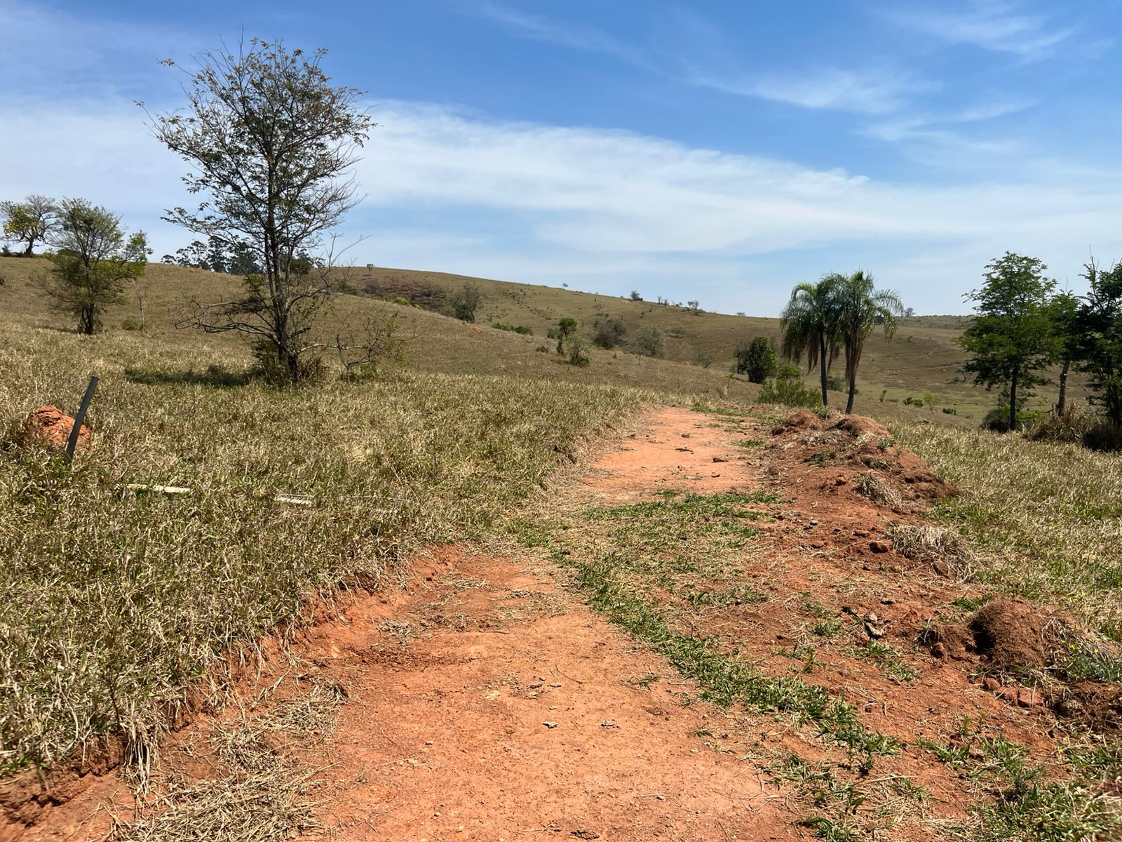 Vista dos lotes rurais em Itupeva/SP, próximos à Rod. Dom Gabriel, com fácil acesso a Jundiaí e Cabreúva. Ideal para investimento ou moradia.