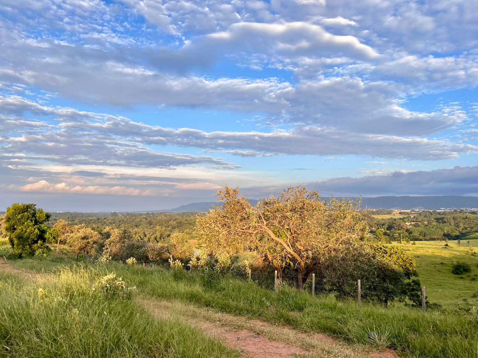 Vista dos lotes rurais em Itupeva/SP, próximos à Rod. Dom Gabriel, com fácil acesso a Jundiaí e Cabreúva. Ideal para investimento ou moradia.